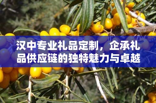 汉中专业礼品定制，企承礼品供应链的独特魅力与卓越服务
