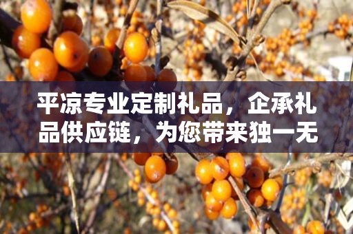 平凉专业定制礼品，企承礼品供应链，为您带来独一无二的礼品体验