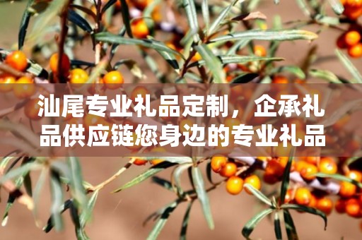 汕尾专业礼品定制，企承礼品供应链您身边的专业礼品定制公司